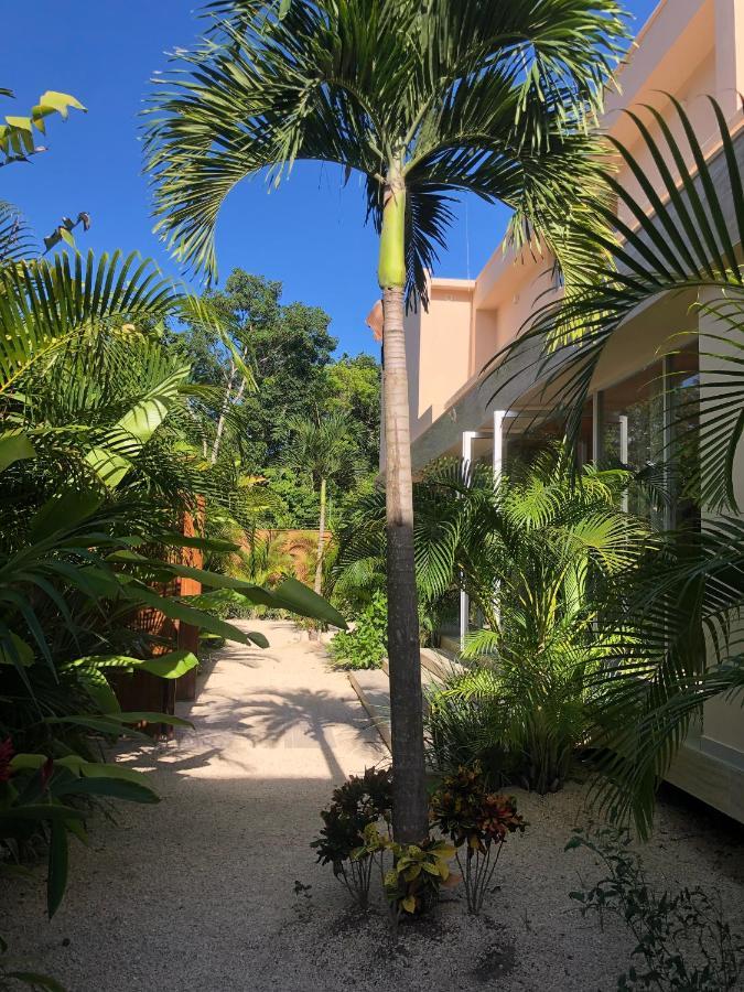 11Br I Hacienda Zalama Тулум Екстериор снимка